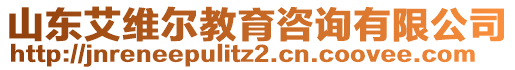 山東艾維爾教育咨詢有限公司