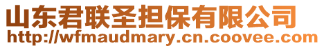 山東君聯(lián)圣擔(dān)保有限公司