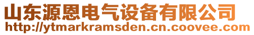 山東源恩電氣設(shè)備有限公司