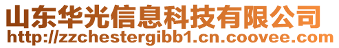 山東華光信息科技有限公司