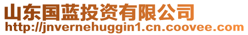 山東國藍(lán)投資有限公司