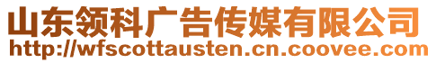 山東領(lǐng)科廣告?zhèn)髅接邢薰? style=