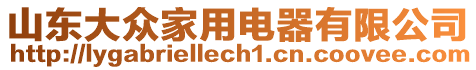 山東大眾家用電器有限公司