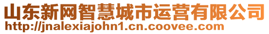 山東新網(wǎng)智慧城市運(yùn)營(yíng)有限公司