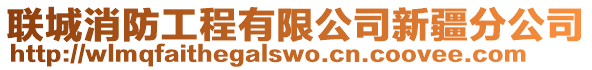 聯(lián)城消防工程有限公司新疆分公司