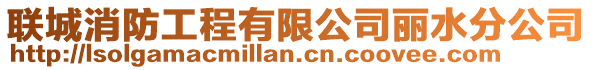 聯(lián)城消防工程有限公司麗水分公司