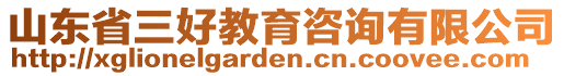 山東省三好教育咨詢有限公司