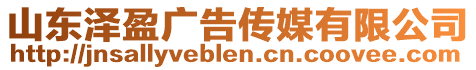 山東澤盈廣告傳媒有限公司