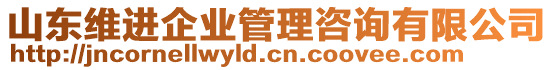 山東維進(jìn)企業(yè)管理咨詢有限公司