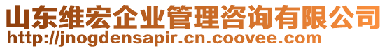 山東維宏企業(yè)管理咨詢有限公司