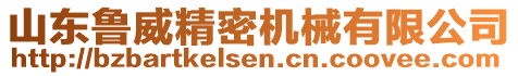 山東魯威精密機(jī)械有限公司