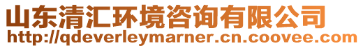 山東清匯環(huán)境咨詢有限公司