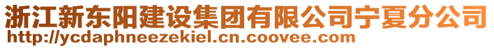 浙江新東陽建設(shè)集團有限公司寧夏分公司