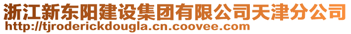 浙江新東陽建設集團有限公司天津分公司