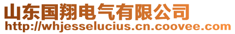 山東國(guó)翔電氣有限公司