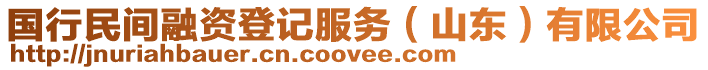 國行民間融資登記服務（山東）有限公司