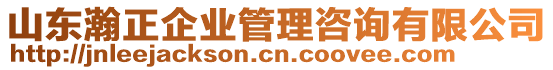 山東瀚正企業(yè)管理咨詢有限公司