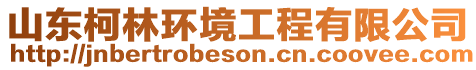 山東柯林環(huán)境工程有限公司