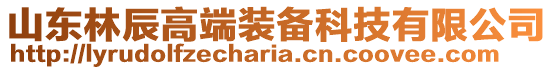 山東林辰高端裝備科技有限公司