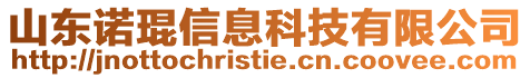 山東諾琨信息科技有限公司