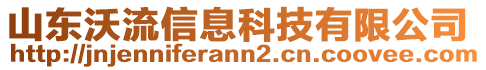 山东沃流信息科技有限公司