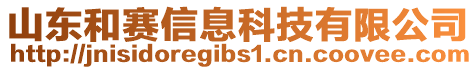 山東和賽信息科技有限公司