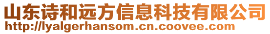 山東詩和遠方信息科技有限公司