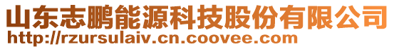 山東志鵬能源科技股份有限公司