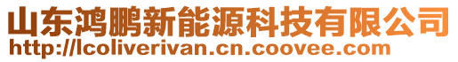 山東鴻鵬新能源科技有限公司