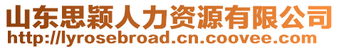 山東思穎人力資源有限公司