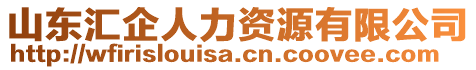 山東匯企人力資源有限公司