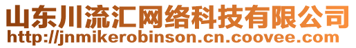 山東川流匯網(wǎng)絡(luò)科技有限公司