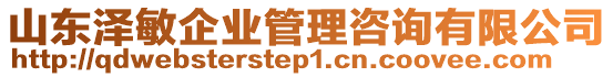 山東澤敏企業(yè)管理咨詢有限公司