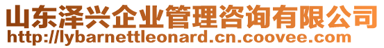 山東澤興企業(yè)管理咨詢有限公司