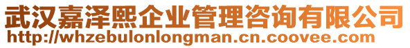 武漢嘉澤熙企業(yè)管理咨詢有限公司