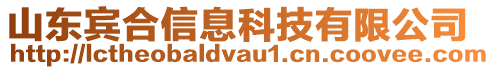 山東賓合信息科技有限公司