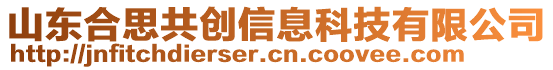 山東合思共創(chuàng)信息科技有限公司