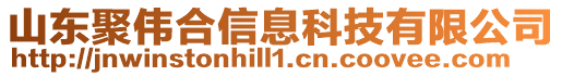 山東聚偉合信息科技有限公司