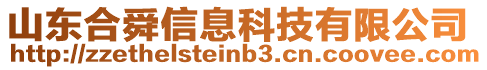 山東合舜信息科技有限公司