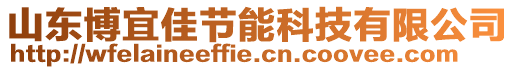 山東博宜佳節(jié)能科技有限公司