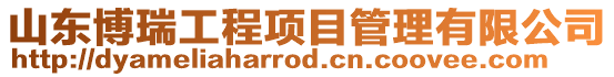 山東博瑞工程項目管理有限公司