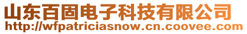 山東百固電子科技有限公司