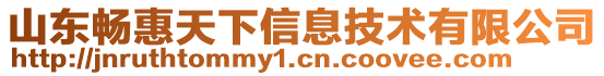 山東暢惠天下信息技術有限公司