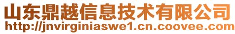 山東鼎越信息技術(shù)有限公司