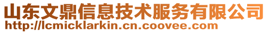 山東文鼎信息技術服務有限公司