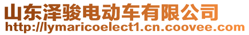 山東澤駿電動(dòng)車有限公司