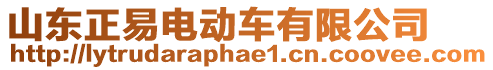 山東正易電動車有限公司