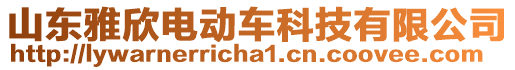 山東雅欣電動車科技有限公司