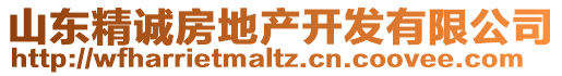 山東精誠(chéng)房地產(chǎn)開發(fā)有限公司