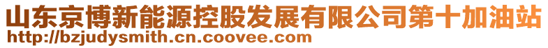 山東京博新能源控股發(fā)展有限公司第十加油站